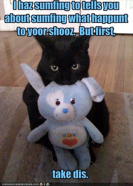 SHUT THE HELL UP ABOUT AUSTRALIA!!! - Page 2 19418d1241536495-cute-cats-funny-pictures-cat-brings-you-bribe1