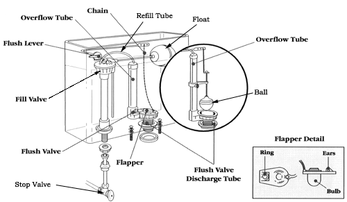 Toilet Bowl Parts