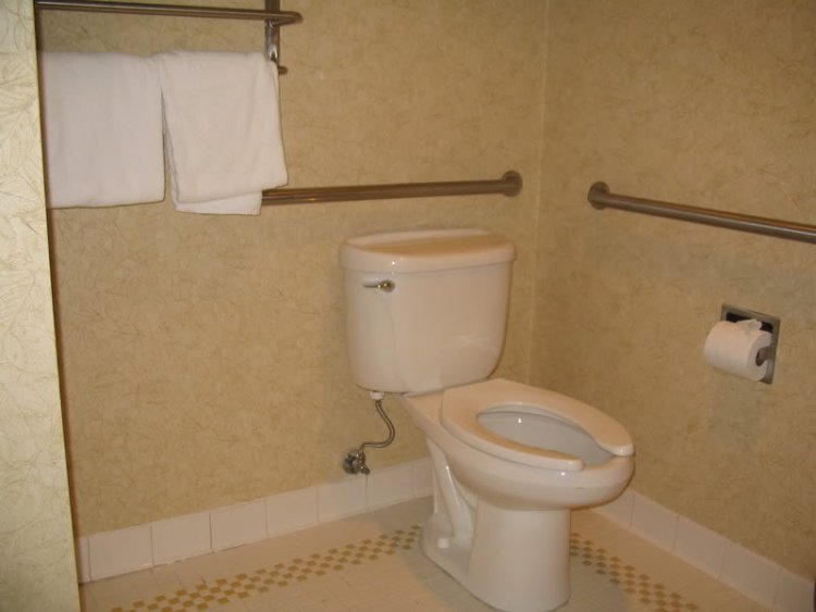 Handicap Toilet