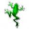 lowlowfroggy's Avatar