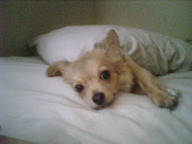 Name:  IMG00015.jpg
Views: 19
Size:  20.6 KB