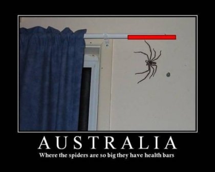 Name:  spider.jpg
Views: 26
Size:  18.5 KB