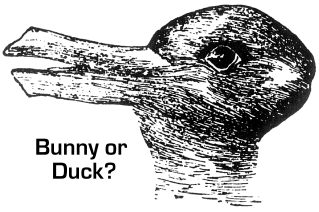 Name:  bunnyduck.gif
Views: 35
Size:  38.4 KB