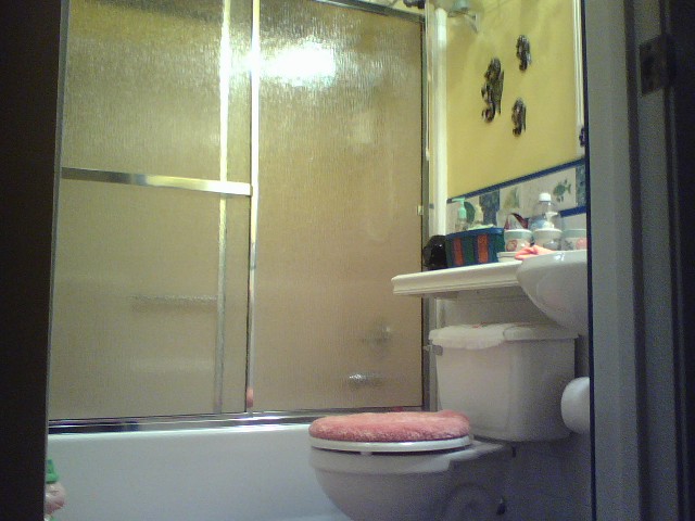 Name:  Glass doors-guest bath.jpg
Views: 6990
Size:  71.5 KB