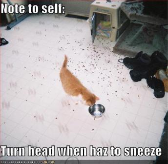 Name:  sneeze.jpg
Views: 284
Size:  19.5 KB
