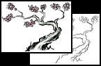 Name:  cherry-blossom_thumb[1].jpg
Views: 156
Size:  4.0 KB