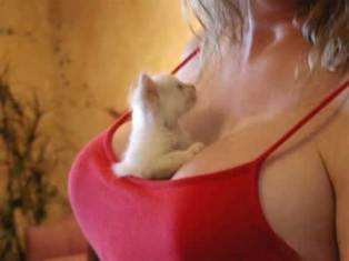 Name: puppies.jpg
Views: 40
Size: 7.7 KB