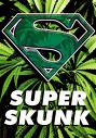 Name:  superskunk.jpg
Views: 22
Size:  5.6 KB