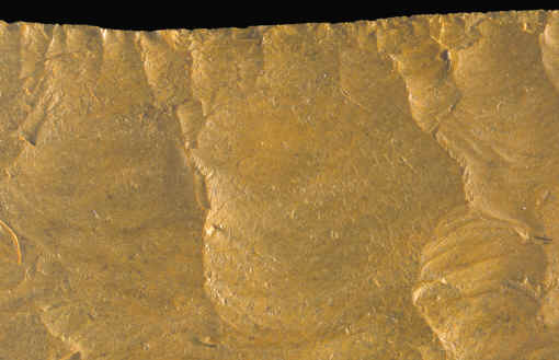 Name:  whatsthis.jpg
Views: 43
Size:  17.9 KB