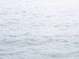 Name:  submarine racing.bmp
Views: 21
Size:  56.3 KB