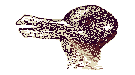Name:  jastrow_rabbit_duck[1].gif
Views: 98
Size:  1.1 KB