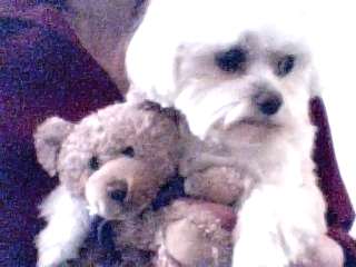 Name:  Picture 24.jpg
Views: 454
Size:  10.2 KB