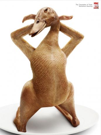 Name:  Duck_preview.jpg
Views: 29
Size:  18.6 KB