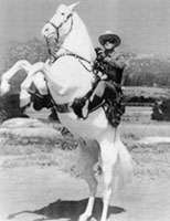 Name:  silver_lone-ranger.jpg
Views: 35
Size:  36.1 KB