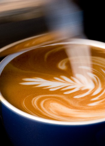Name:  coffee.jpg
Views: 24
Size:  32.1 KB