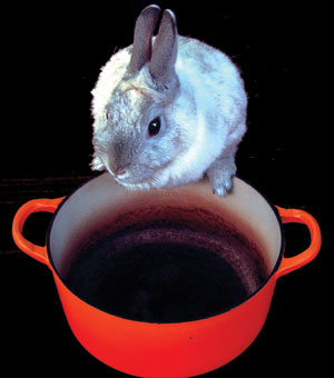 Name:  rabbit-pie_2.jpg
Views: 61
Size:  18.0 KB