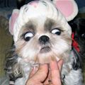 Name:  Dont_Do_That_s[1].jpg
Views: 31
Size:  4.7 KB