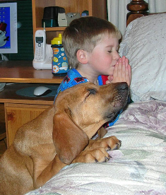 Name:  prayer.BMP
Views: 28
Size:  190.9 KB