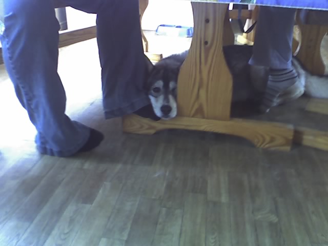 Name:  MY BABY WANTING ATTENTION.jpg
Views: 29
Size:  54.5 KB