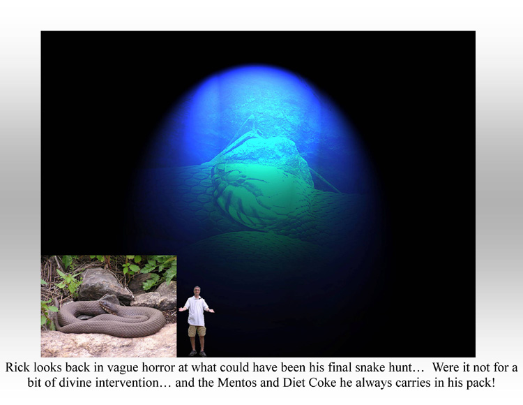 Name:  Contest.jpg
Views: 137
Size:  110.0 KB