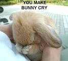 Name:  Crying bunny.jpg
Views: 32
Size:  5.4 KB