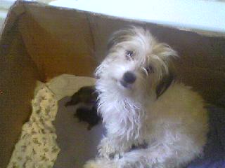 Name:  0928081544.jpg
Views: 2873
Size:  11.6 KB