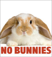 Name:  bunnie_1.jpg
Views: 59
Size:  10.1 KB