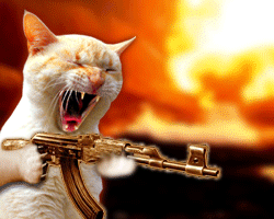 Name:  rampagecat.gif
Views: 38
Size:  95.8 KB