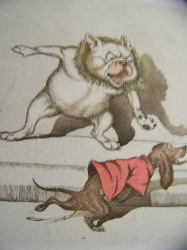 Name:  Dogs D - Use.jpg
Views: 5553
Size:  250.2 KB