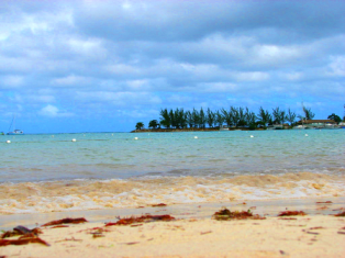 Name:  jamaica.bmp
Views: 25
Size:  216.7 KB