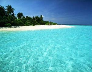Name:  paradise.jpg
Views: 35
Size:  14.6 KB