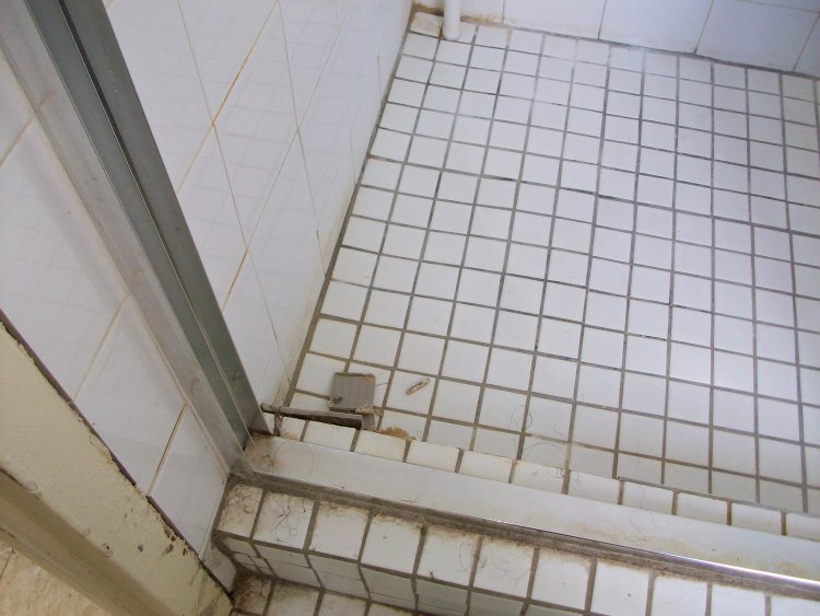 Name:  Picture 095.jpg
Views: 538
Size:  69.3 KB