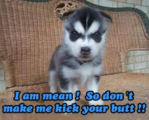 Name:  butt.jpg
Views: 41
Size:  60.7 KB