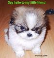 Name:  images[11].jpg
Views: 36
Size:  3.0 KB