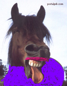 Name:  horse.bmp
Views: 38
Size:  208.2 KB