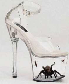 Name:  SPIDERSHOES.jpg
Views: 25
Size:  7.4 KB