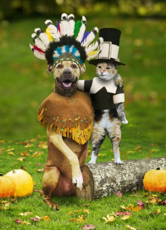 Name:  Thanksgiving - Dog and Cat - Use.jpg
Views: 30431
Size:  101.9 KB