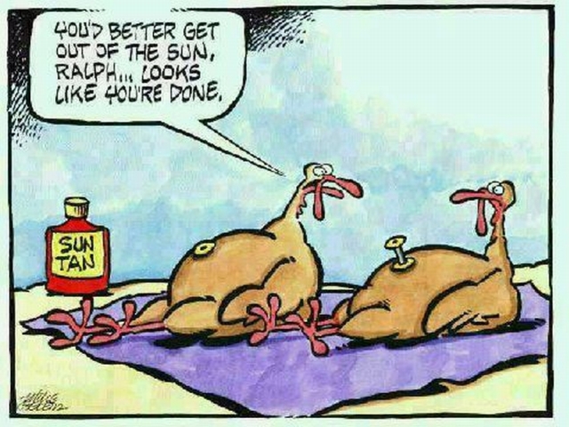 Name:  Thanksgiving - Done Turkey.jpg
Views: 10176
Size:  217.6 KB