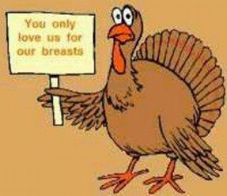 Name:  Thanksgiving - Turkey with Sign.jpg
Views: 1042
Size:  65.4 KB