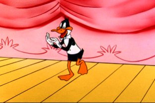 Name:  daffy.jpg
Views: 20
Size:  16.6 KB