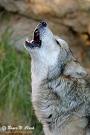 Name:  images[10].jpg
Views: 129
Size:  3.3 KB