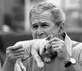 Name:  bush eating a kitten.jpg
Views: 23
Size:  5.2 KB