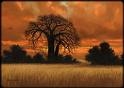 Name:  images[4].jpg
Views: 57
Size:  2.7 KB