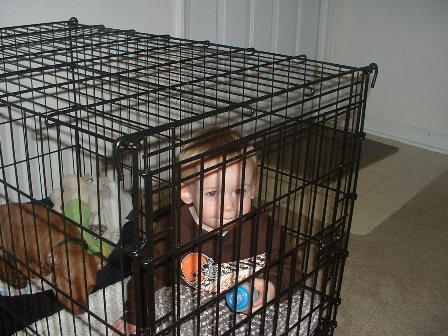 Name:  cage.jpg
Views: 43
Size:  48.3 KB