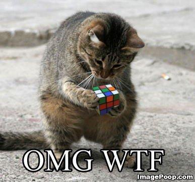 Name:  rubiks_cube_cat_omg_wtf.jpg
Views: 81
Size:  27.9 KB