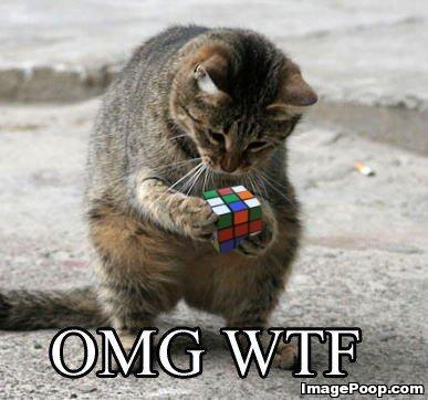 Name:  rubiks_cube_cat_omg_wtf.jpg
Views: 75
Size:  27.9 KB