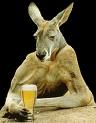 Name:  kanga.jpg
Views: 44
Size:  3.1 KB