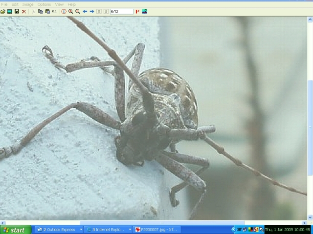 Name:  Critter B - Use.jpg
Views: 2528
Size:  194.6 KB