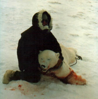 Name:  Polar_Bear.jpg
Views: 40
Size:  18.5 KB