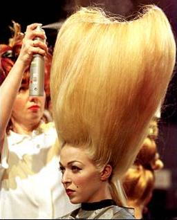 Name:  big_hair.jpg
Views: 29
Size:  15.8 KB